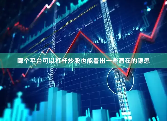 哪个平台可以杠杆炒股也能看出一些潜在的隐患
