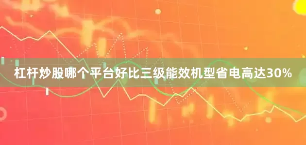 杠杆炒股哪个平台好比三级能效机型省电高达30%