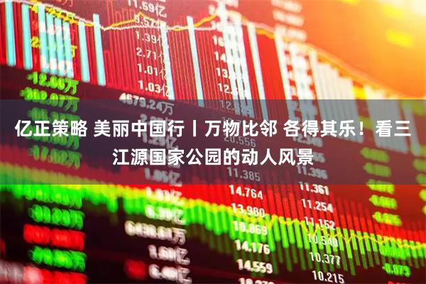 亿正策略 美丽中国行丨万物比邻 各得其乐！看三江源国家公园的动人风景