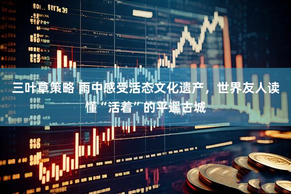 三叶草策略 雨中感受活态文化遗产，世界友人读懂“活着”的平遥古城