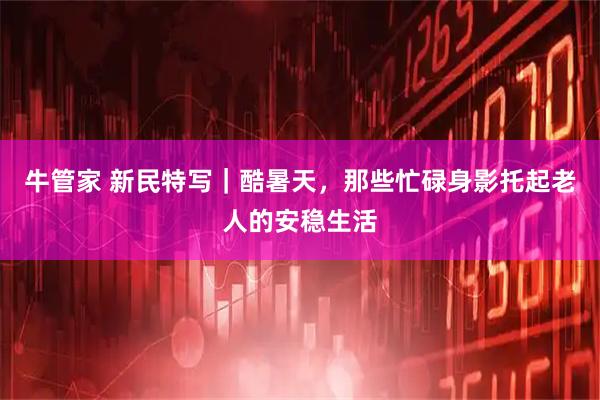 牛管家 新民特写｜酷暑天，那些忙碌身影托起老人的安稳生活